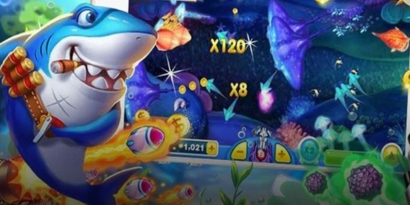 Bí kíp săn cá kiếm thưởng khủng hay từ cao thủ